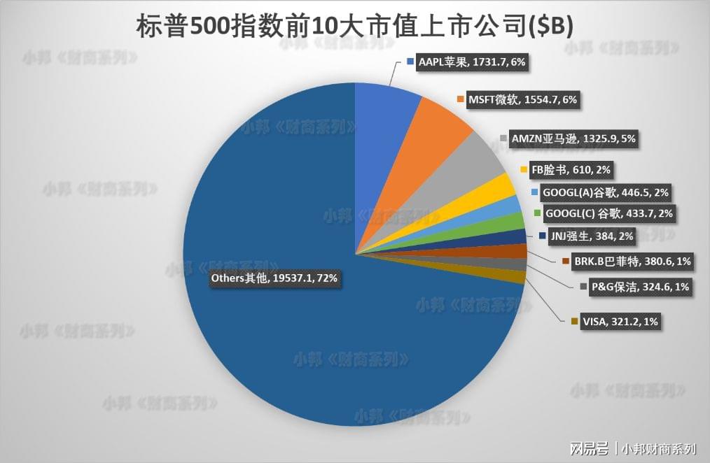 揭秘今年标普500成分股榜首的神秘来头，超越英伟达的科技巨头揭秘